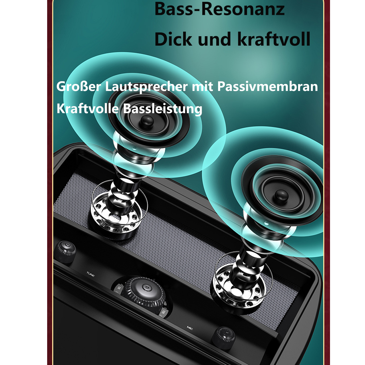 Schwarzer Lautsprecher mit zwei sichtbaren Lautsprechern und Text.