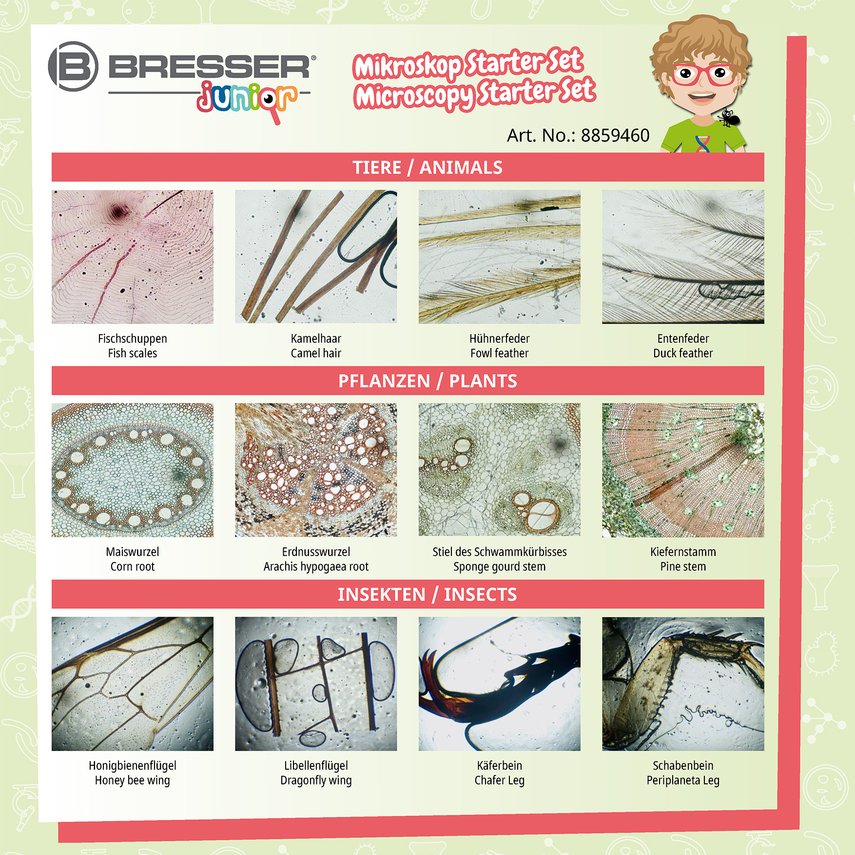 Accesorio microscopio - BRESSER JUNIOR Kit de iniciación