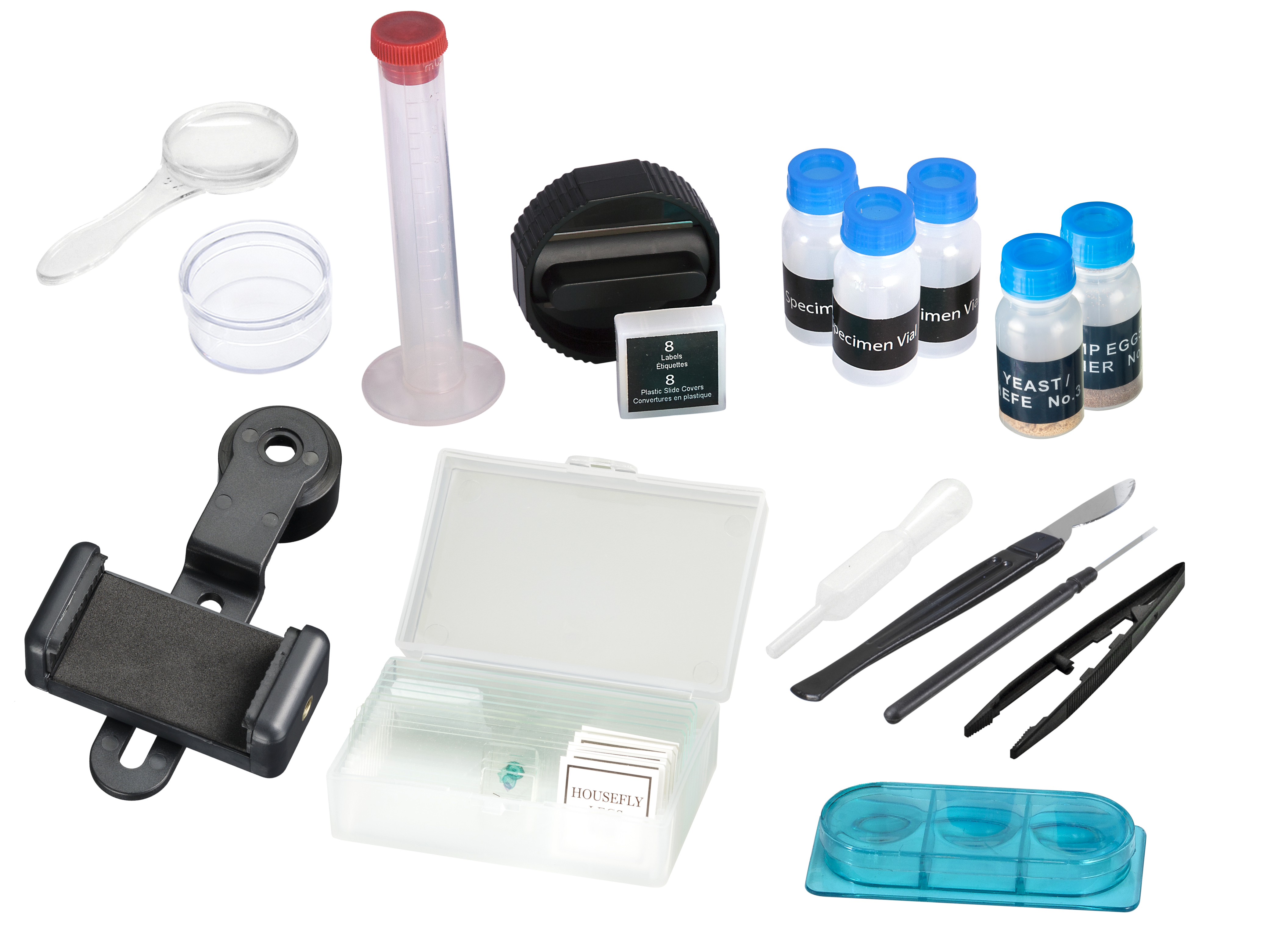 Una colección de herramientas de laboratorio: portaobjetos, viales y una lupa.