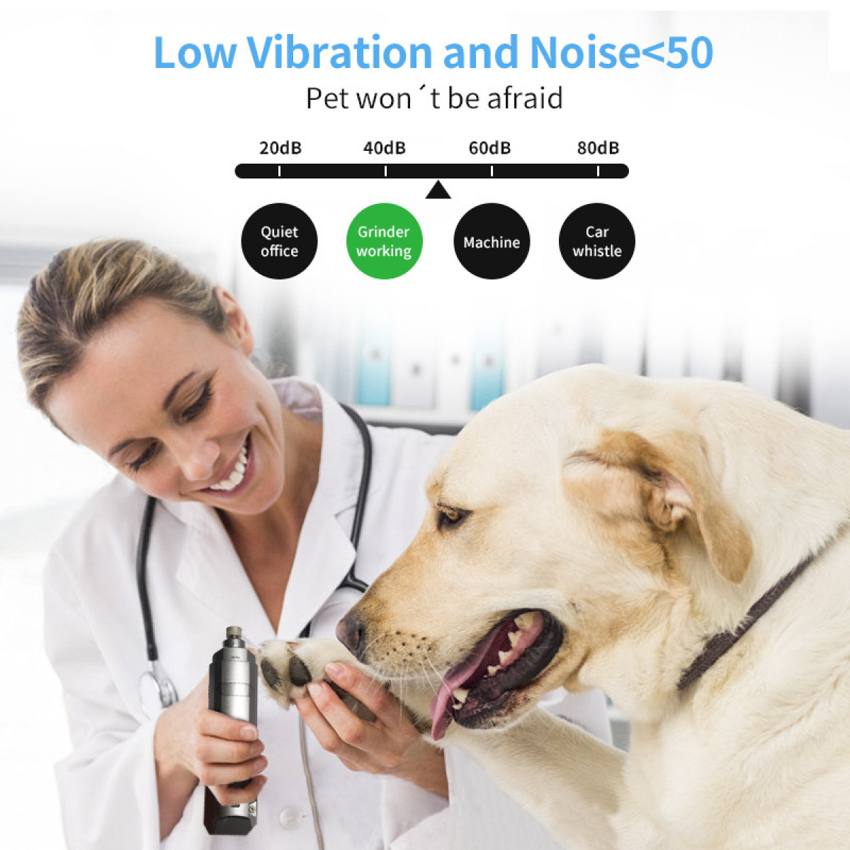 Weterynarz obcina pazury psa. W tle wykres poziomu hałasu.