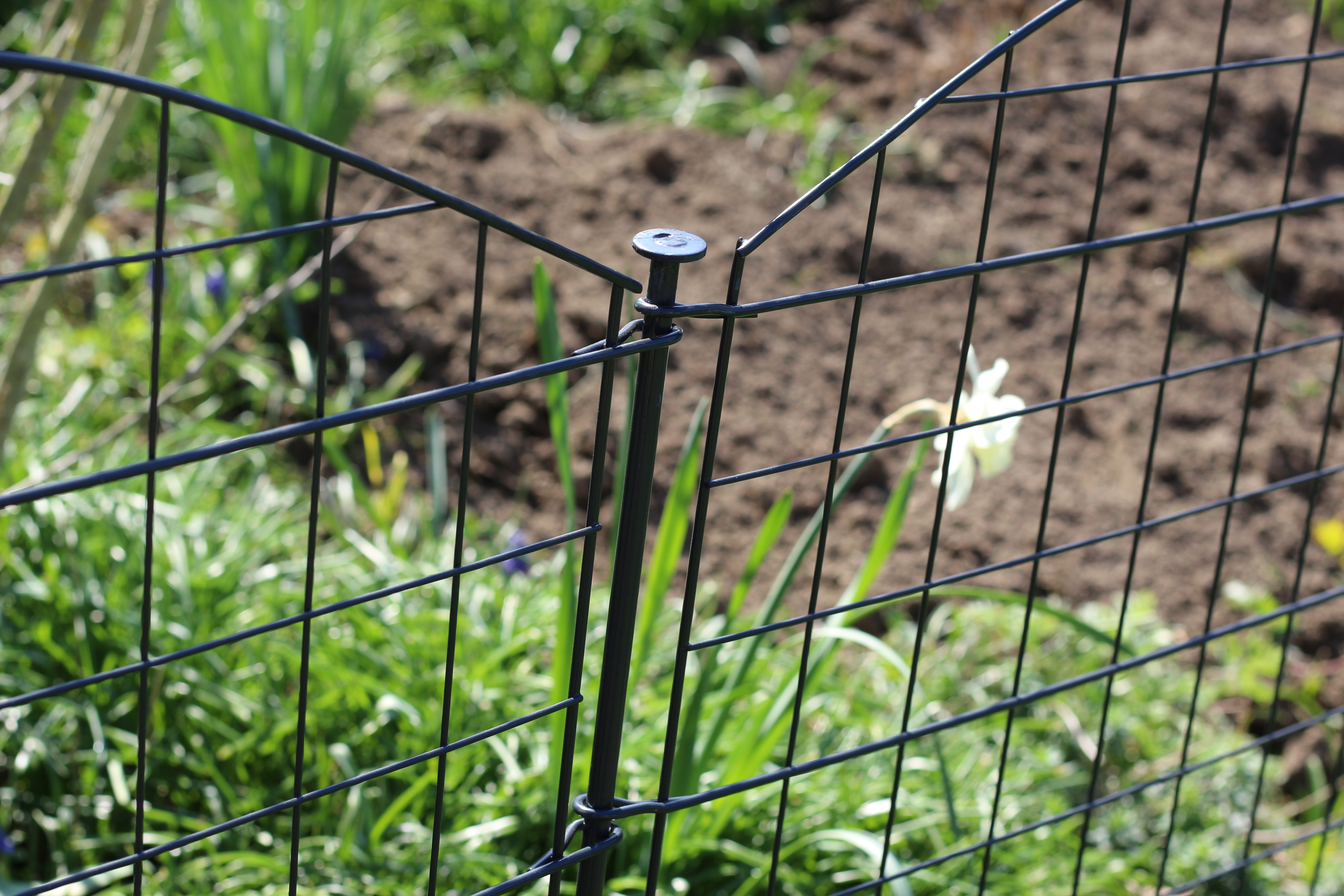 Ein schwarzer Metallzaun in einem Garten, mit grünem Gras und Pflanzen sichtbar.