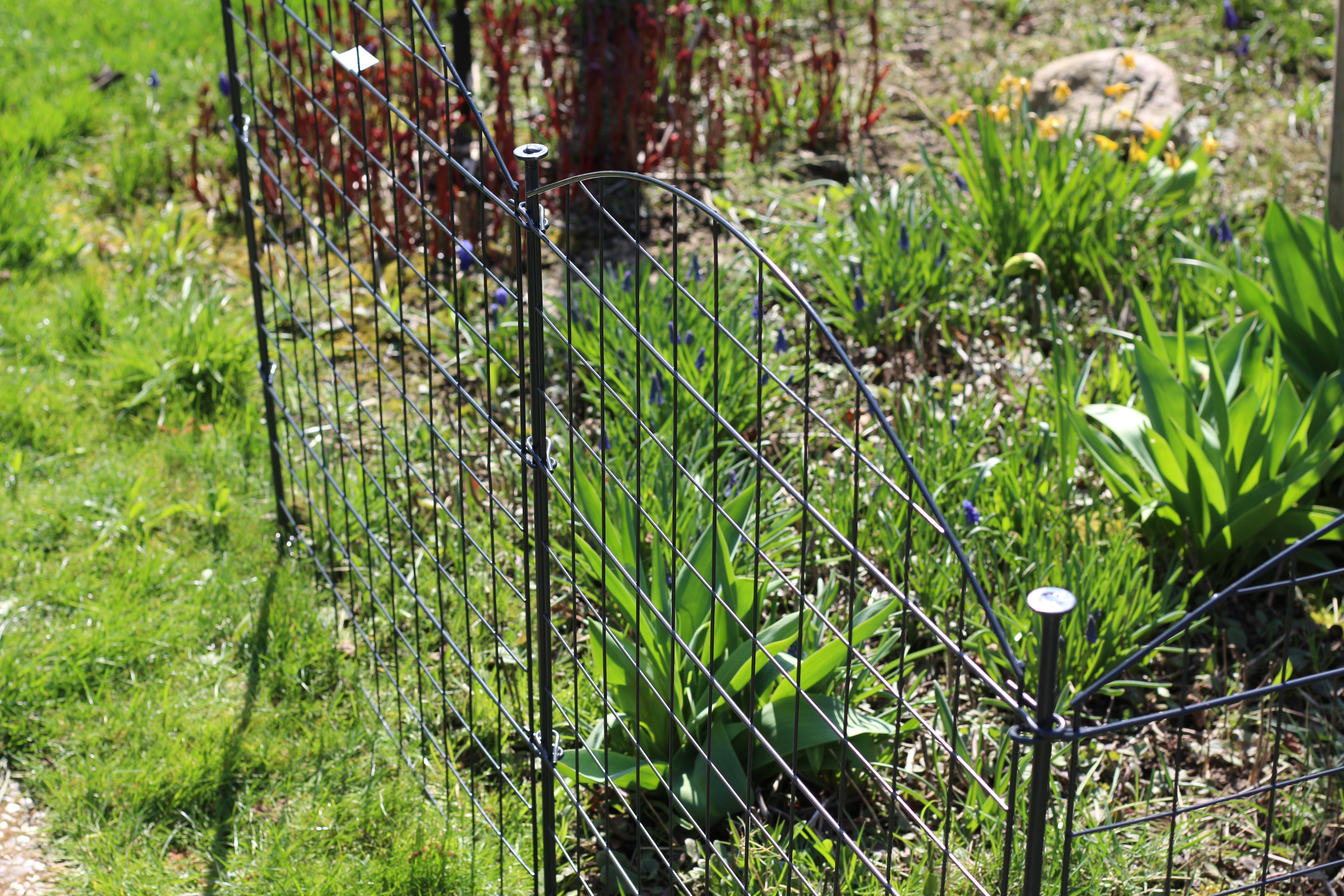 Metall-Gartenzaun mit grünen Pflanzen und Blumen.