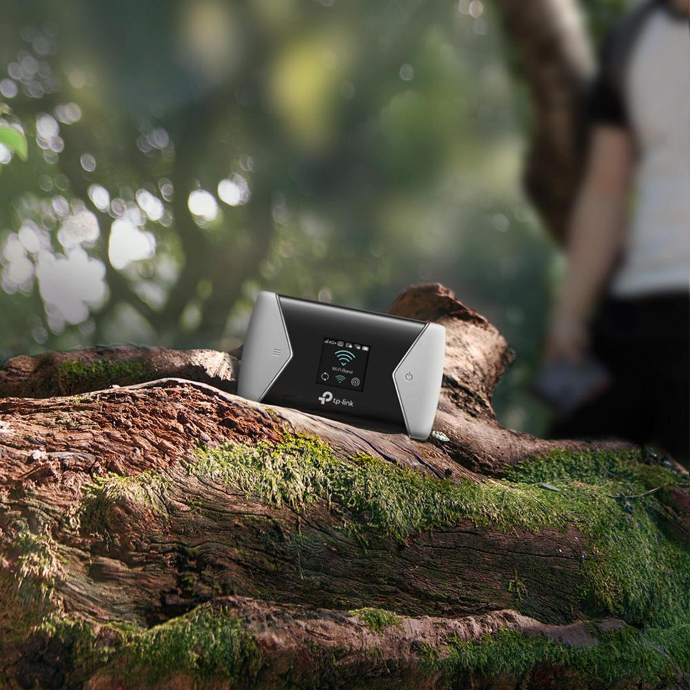 Un router wifi in bianco e nero su un tronco d'albero muschioso in un ambiente forestale.