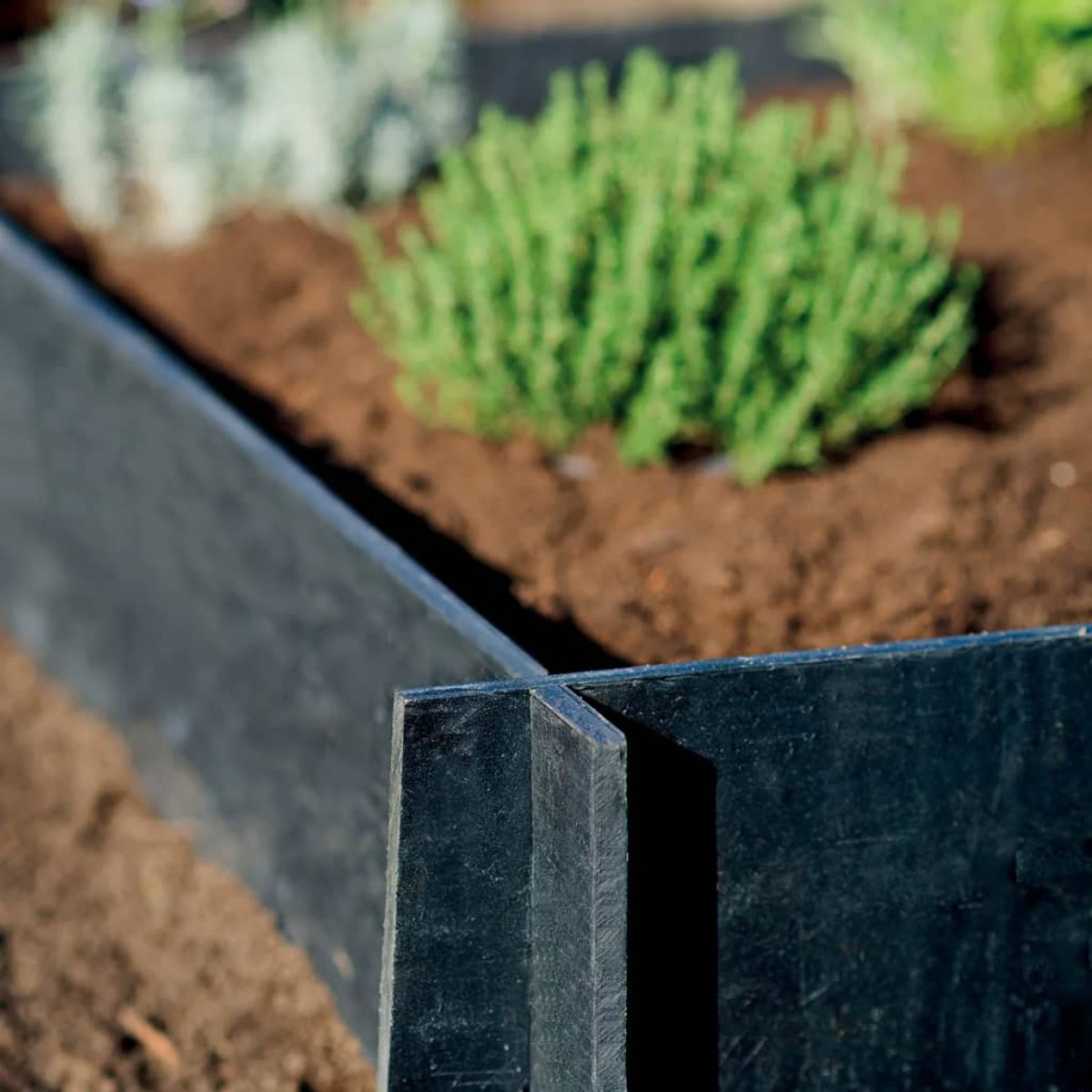 Angolo di un'aiuola rialzata nera. Terreno marrone e piante verdi sullo sfondo.
