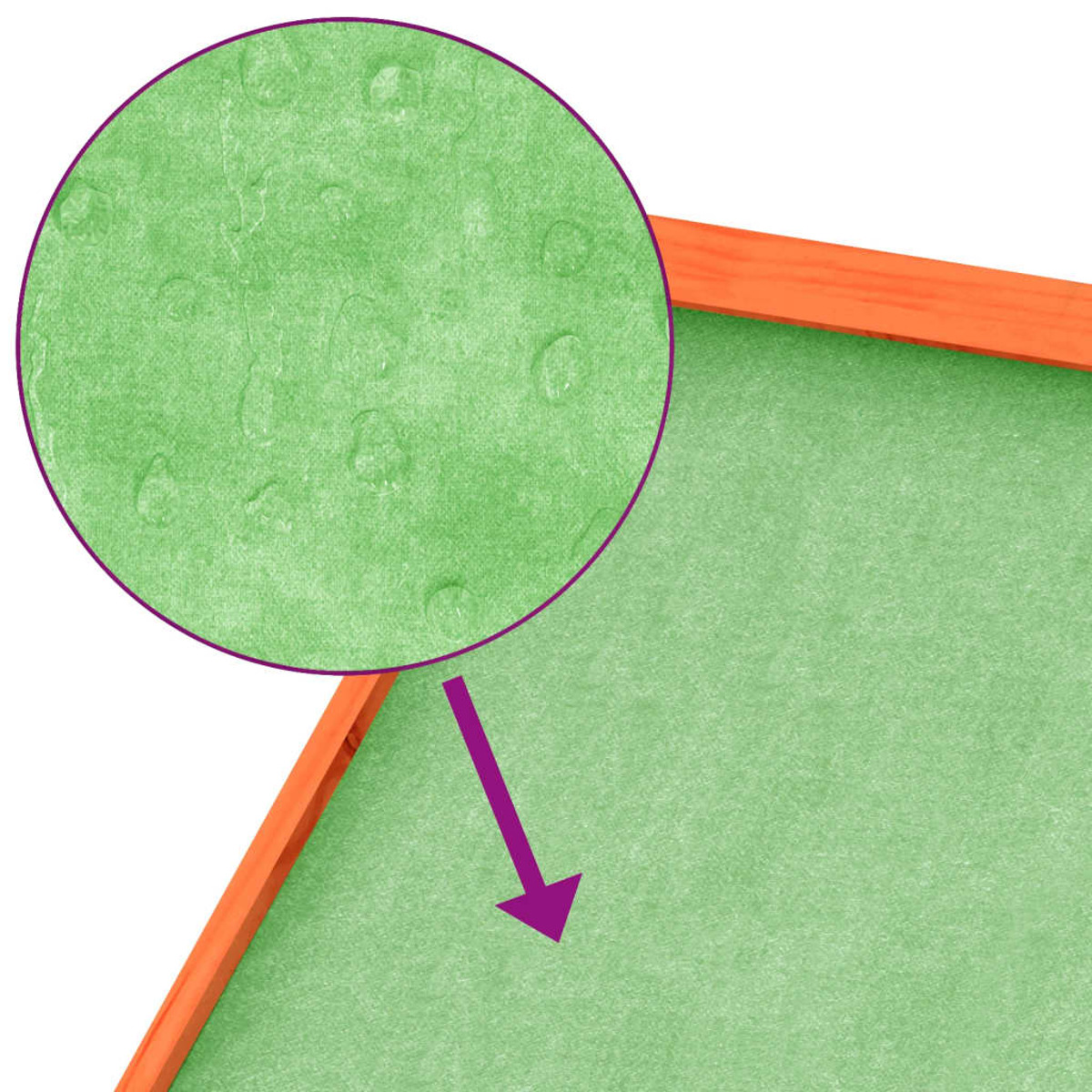 Grüne Oberfläche mit Wassertropfen, umgeben von einem orangefarbenen Rahmen. Ein violetter Kreis zoomt hinein.