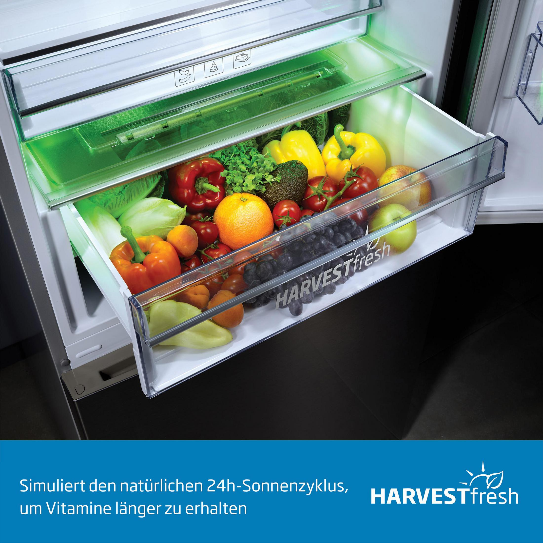 Kühlschublade mit frischem Gemüse und Obst, darunter Paprika, Tomaten und Orangen.