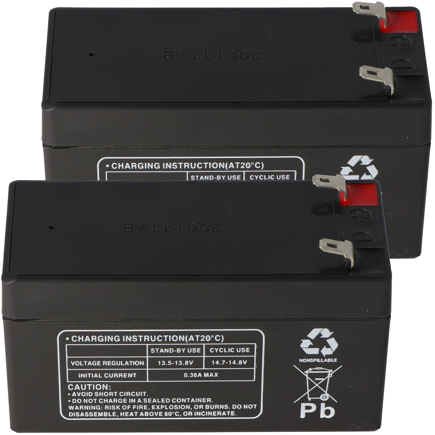 Zwei schwarze Batterien mit Etiketten und Anschlüssen. Ladeanweisungen sind ebenfalls vorhanden.