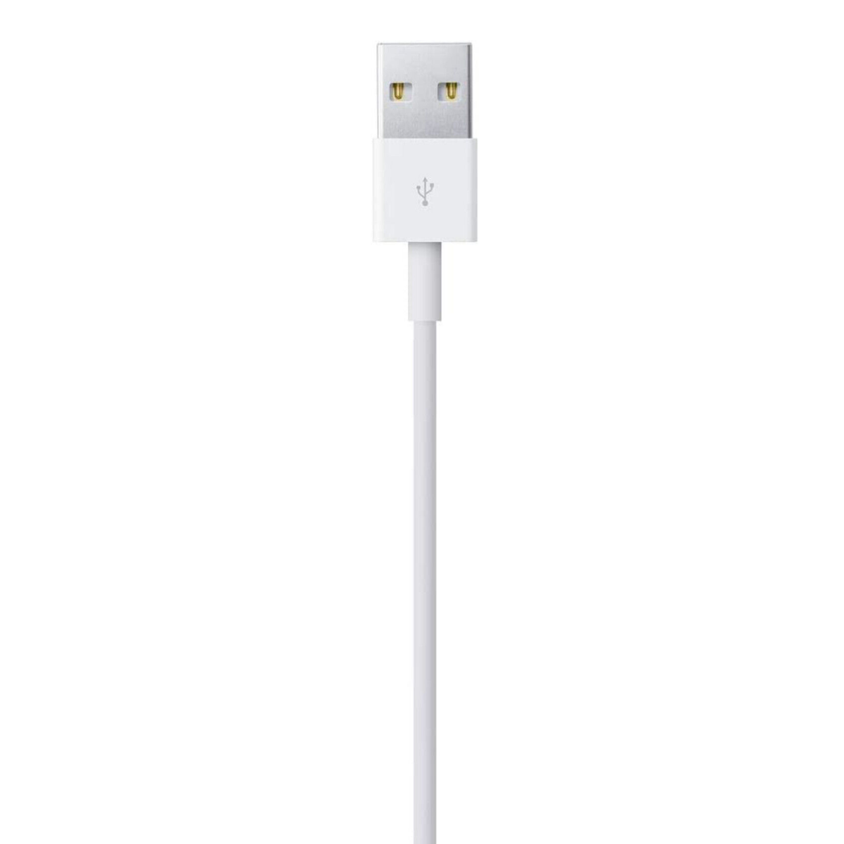 Ein weißes USB-Kabel mit einem weißen Anschluss an jedem Ende, gerade und zentriert auf weißem Hintergrund.
