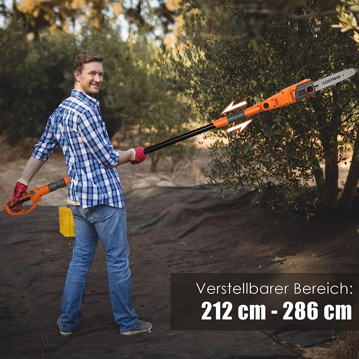 Mann mit orangener und schwarzer Stangensäge. Olivenbäume im Hintergrund, Text: 212 cm - 286 cm.