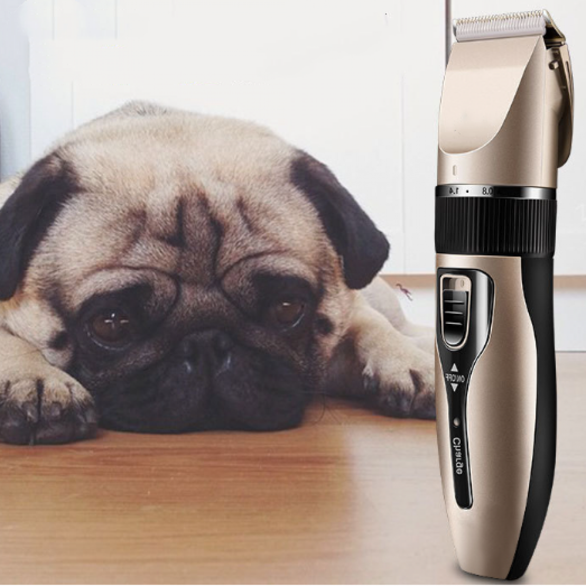 Pug laying down, with a dog grooming clipper beside it on a wooden surface.