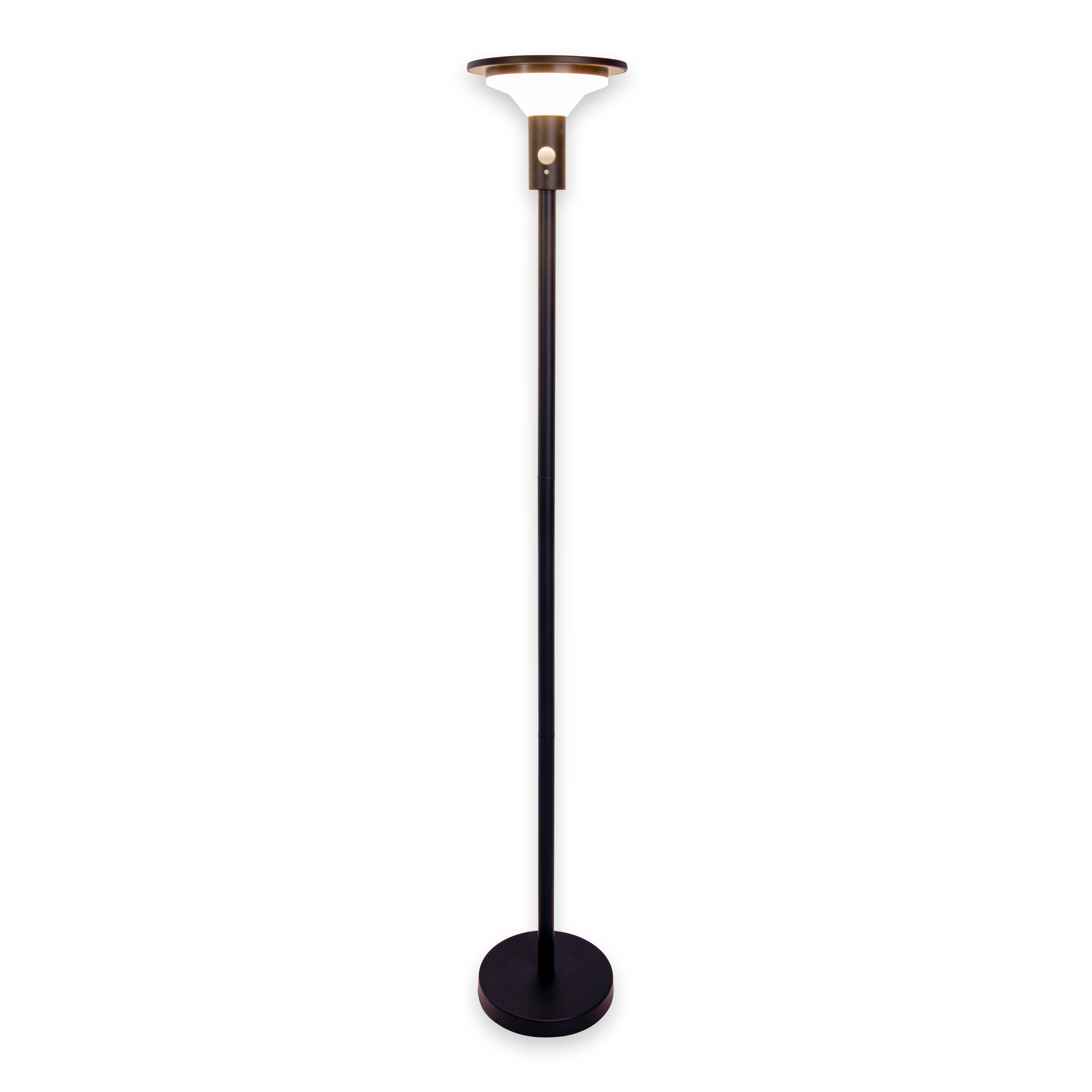 Eine schwarze solarbetriebene Außenlampe mit kreisförmigem Licht oben und schwarzem Sockel.