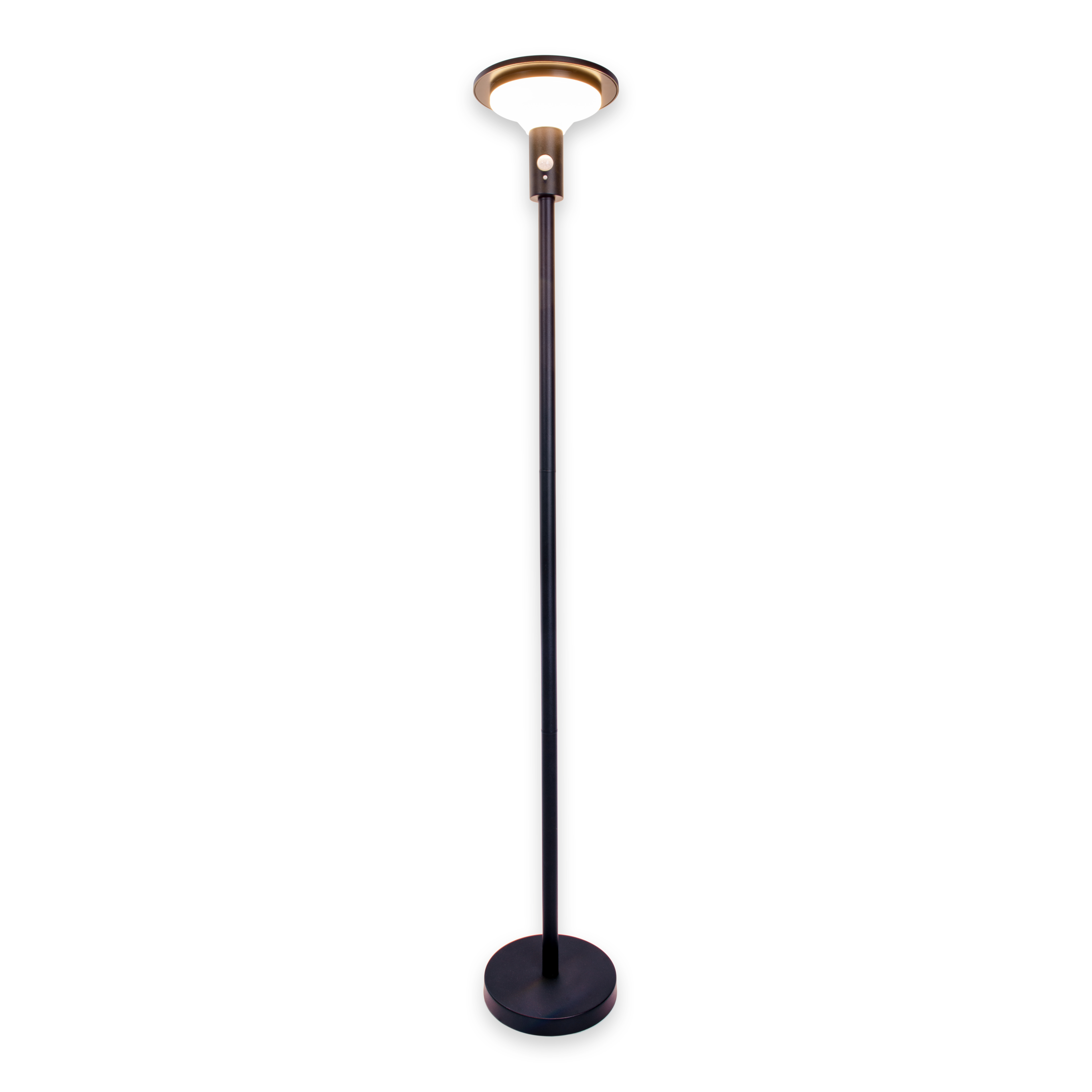Eine schwarze Außenlampe mit rundem Oberteil auf einem Pfahl. Der Hintergrund ist weiß.