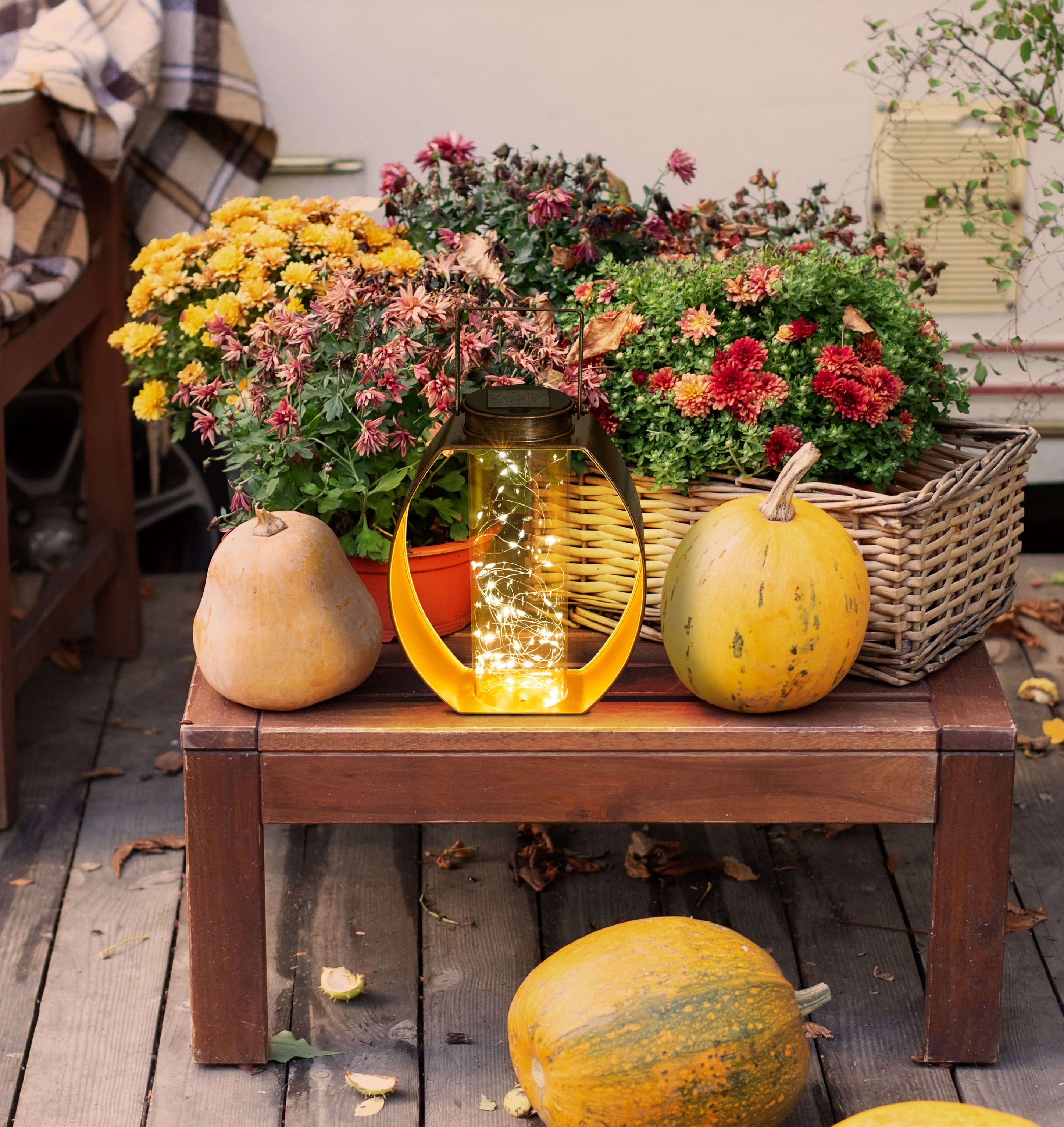 Eine beleuchtete Laterne, umgeben von Herbstdekor: Kürbisse, Chrysanthemen und ein Holztisch.