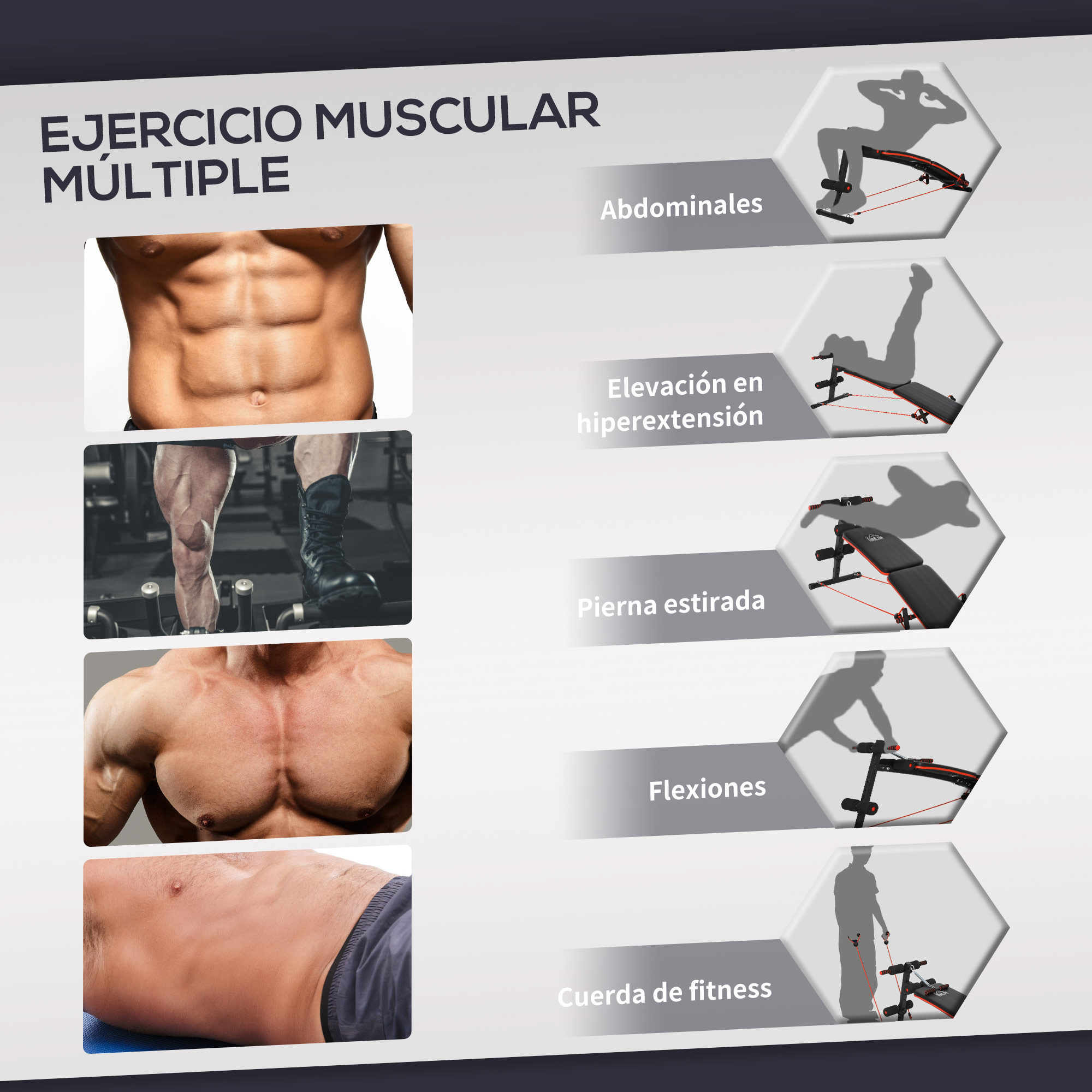 Se muestran múltiples ejercicios musculares con ilustraciones.