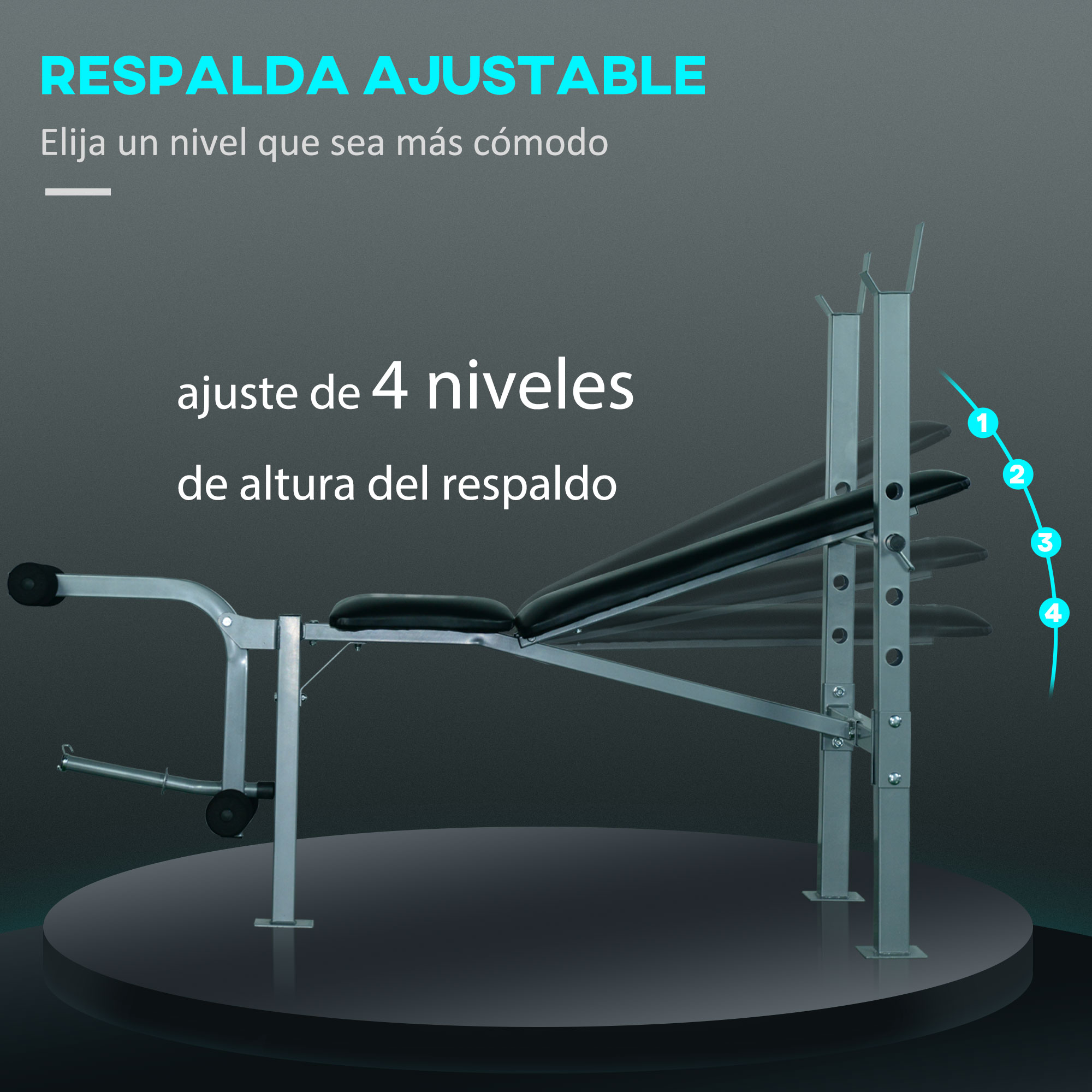 Banco de pesas ajustable. Se puede ajustar a cuatro alturas diferentes del respaldo para mayor comodidad.