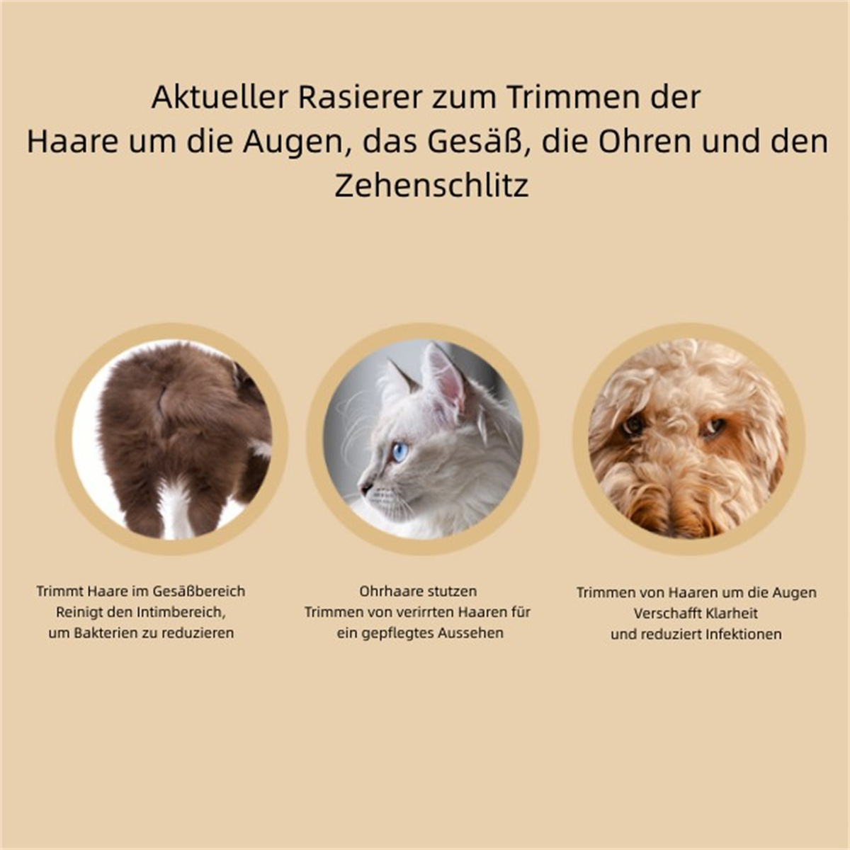 Bilder von Haustieren und ihren Pflegebedürfnissen, einschließlich Augen, Ohren und Gesäß.