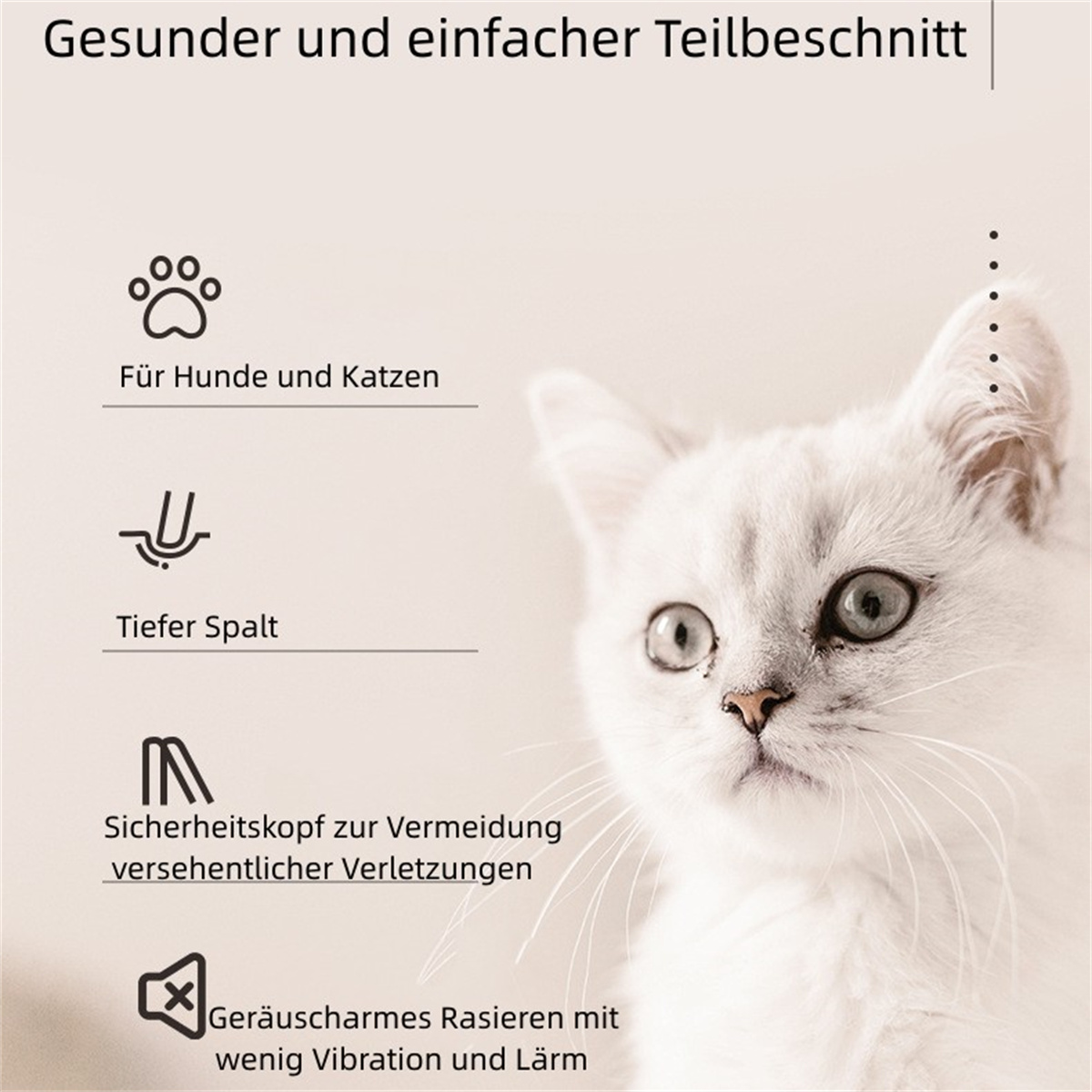 Weiße Katze mit blauen Augen und Icons zur Tierpflege, einschließlich Pfotenabdruck.