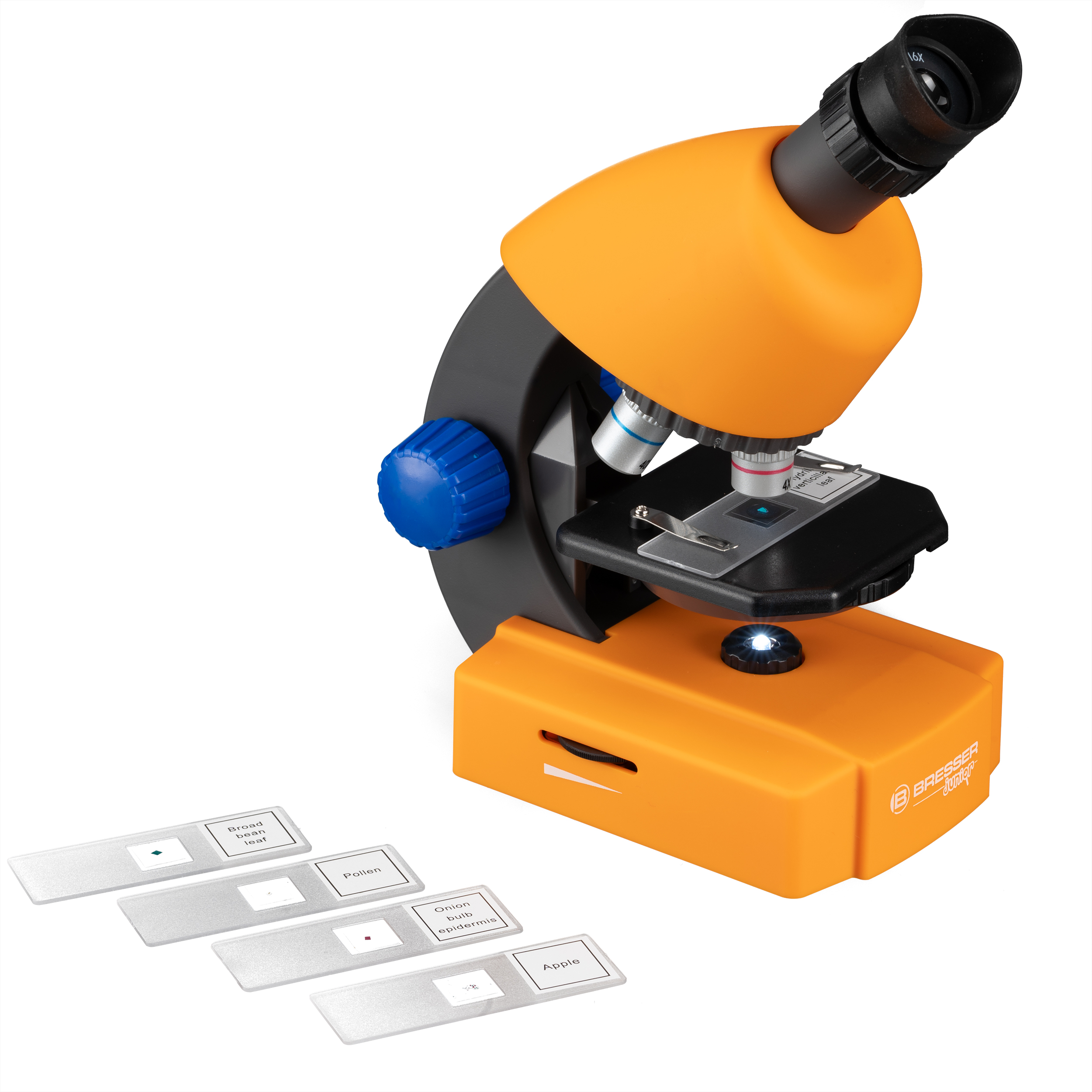 Un microscopio naranja y negro con portaobjetos de materiales vegetales y una fuente de luz.