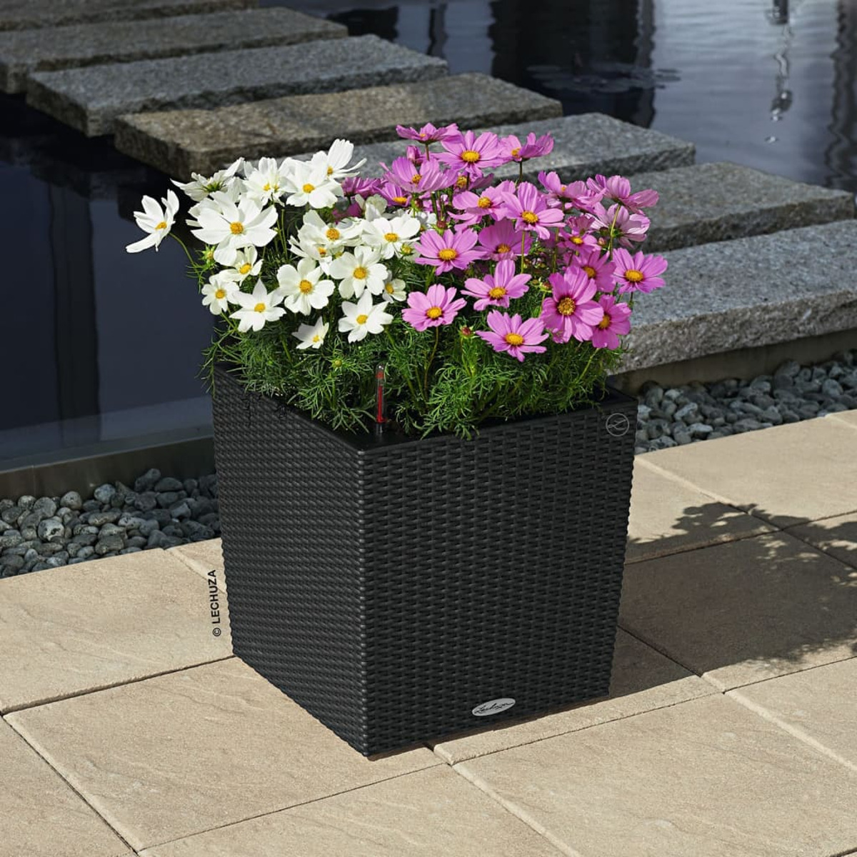 Schwarzer quadratischer Blumentopf mit gemischten Blumen, im Garten.