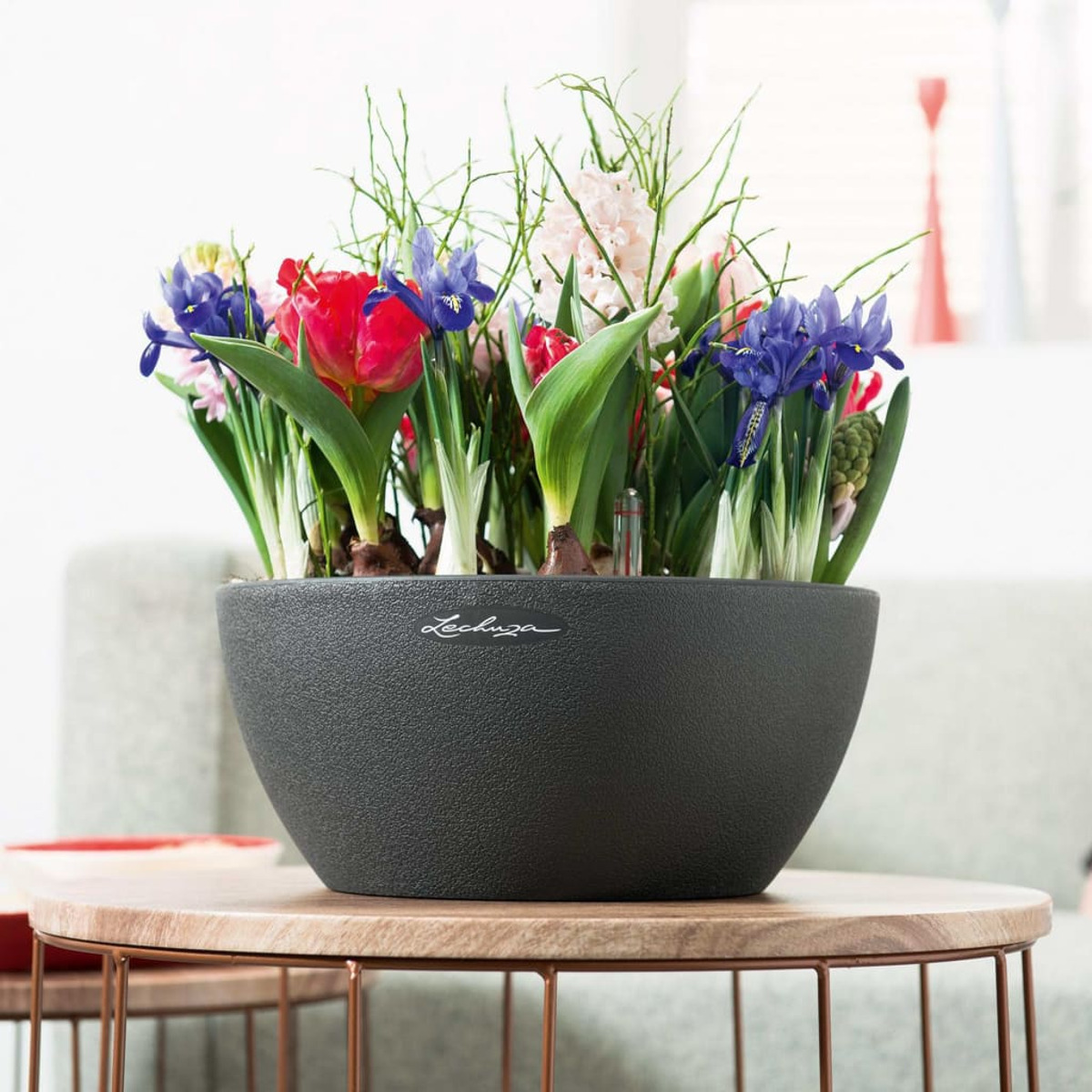 Pot noir avec des fleurs : tulipe rouge, iris bleu, jacinthes roses. Placé sur une table en bois.