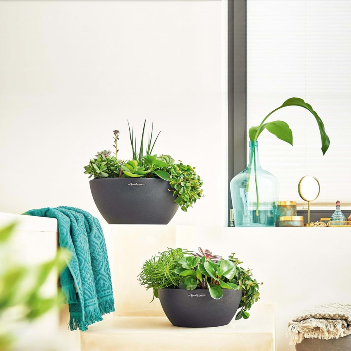 Deux jardinières gris foncé avec des plantes, placées devant une fenêtre de salle de bain blanche.