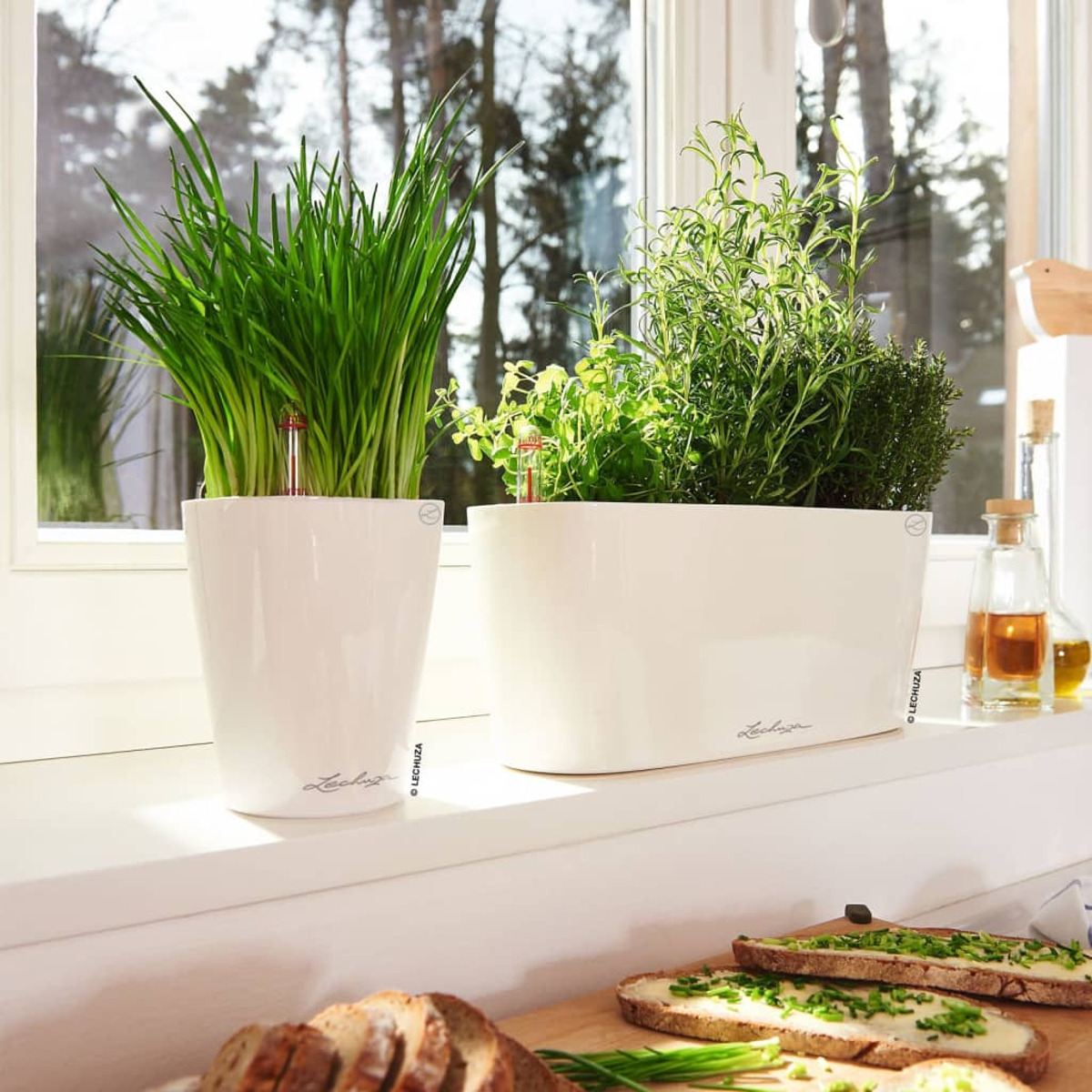 Due fioriere bianche con erbe aromatiche su un davanzale.