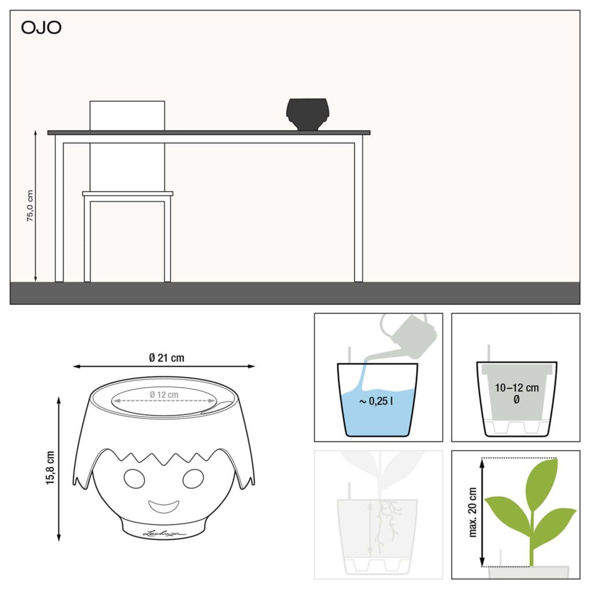 Diagramme d'un pot de plante avec instructions d'arrosage. Comprend les dimensions et les détails d'entretien.