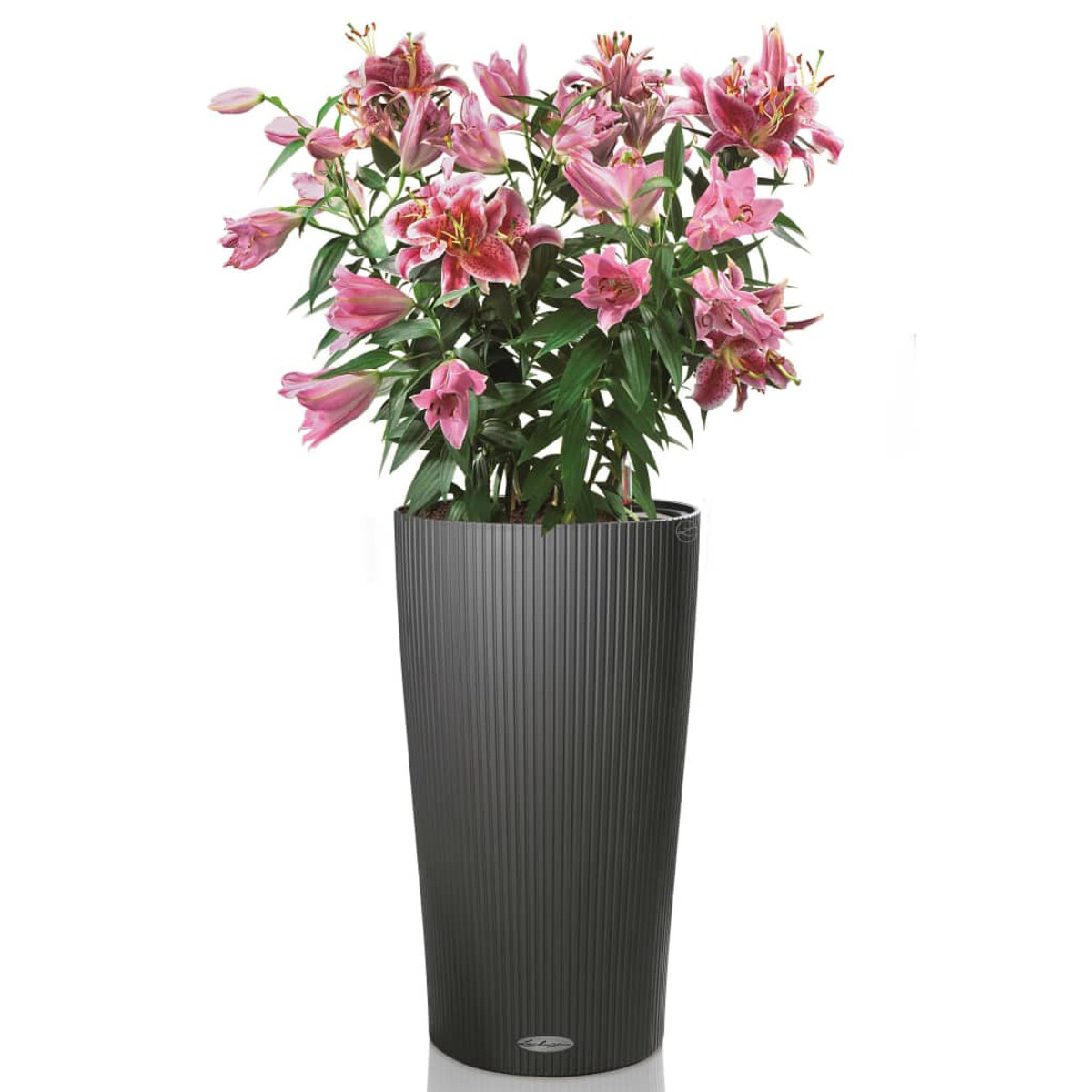 Une jardinière grise haute avec des lis roses. Les fleurs ont des feuilles vertes et sont en pleine floraison.
