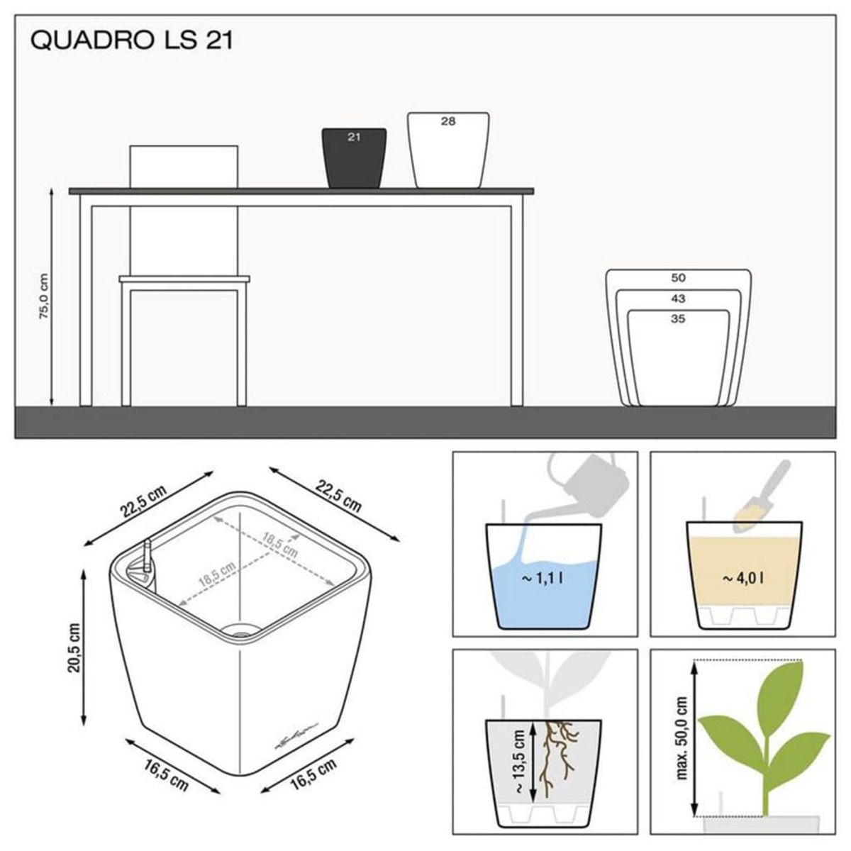 Un schéma avec des dimensions et des illustrations d'un pot de plante et d'accessoires.