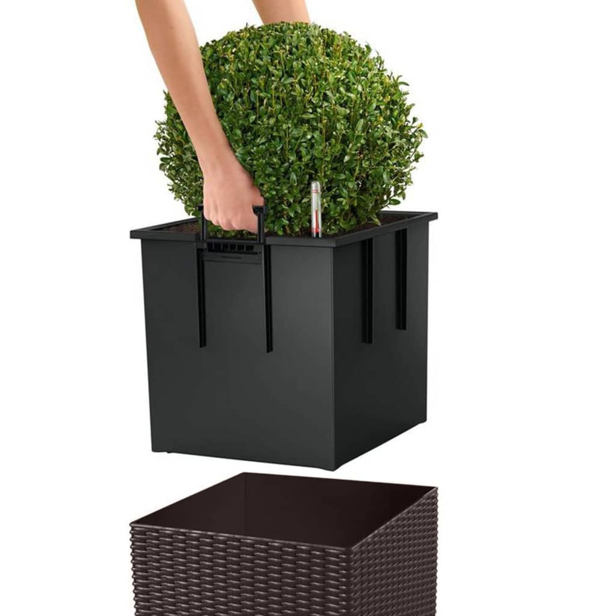 Une personne soulève une plante verte dans un pot noir d'une base marron style osier.