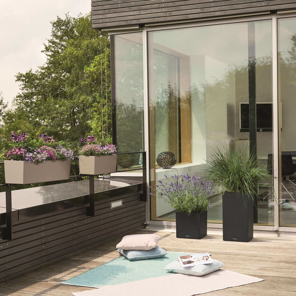 Terrasse mit Pflanzen in Pflanzgefäßen. Glastüren und ein grüner Baum im Hintergrund.