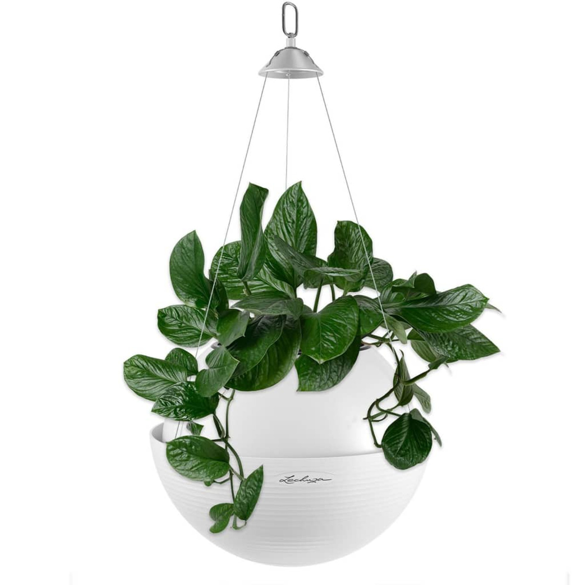 Fioriera sospesa bianca con pianta verde. Ha una base bianca sferica.