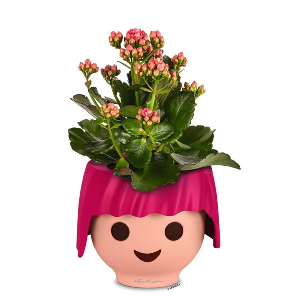 Rosa Topf in Form eines Gesichts mit einer Pflanze darauf.