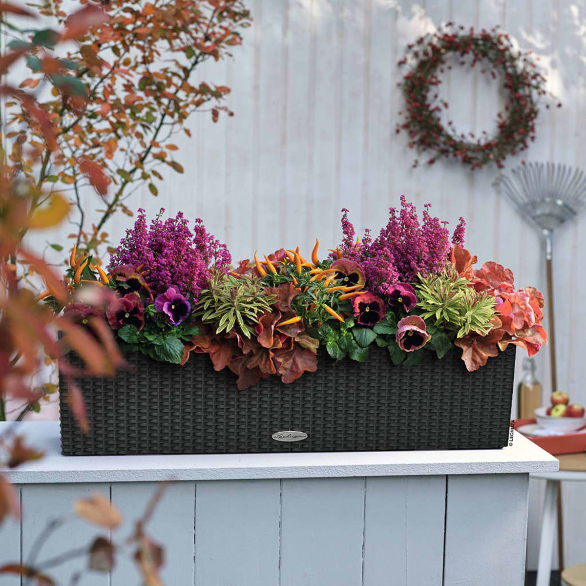 Dunkelgrauer Pflanzkasten auf weißem Tisch, gefüllt mit bunten Blumen und Blättern.