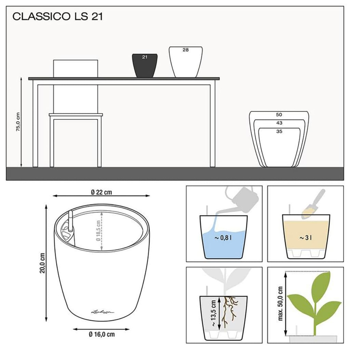 Diagramme avec dimensions du pot et instructions d'arrosage.