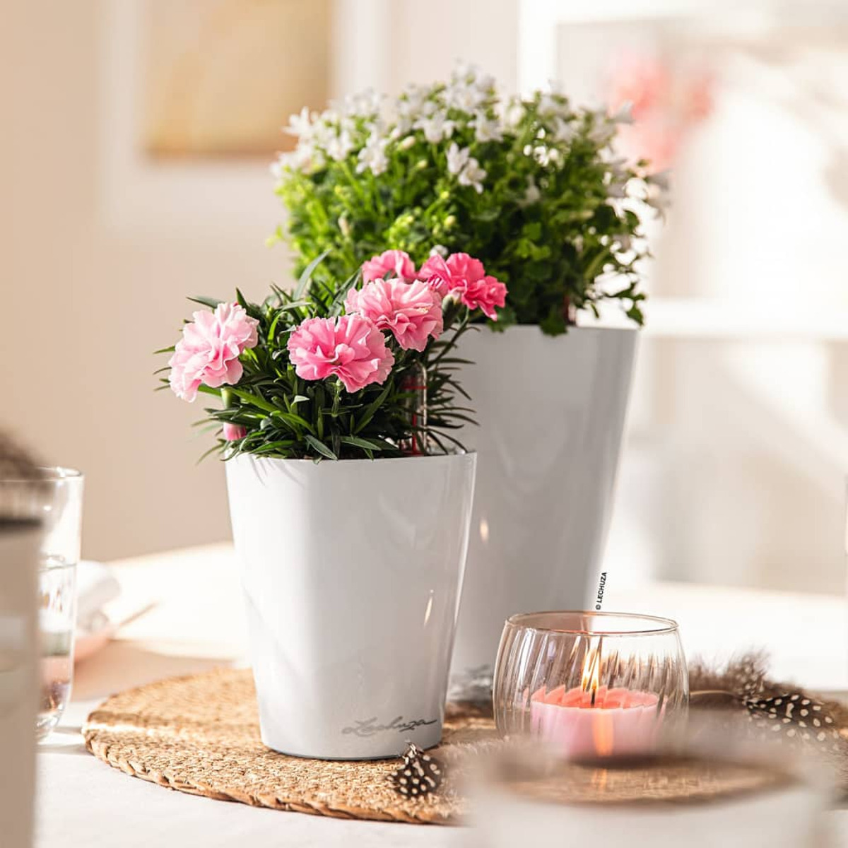 Zwei weiße Töpfe mit rosa und weißen Blumen auf einem Tisch mit Kerze.