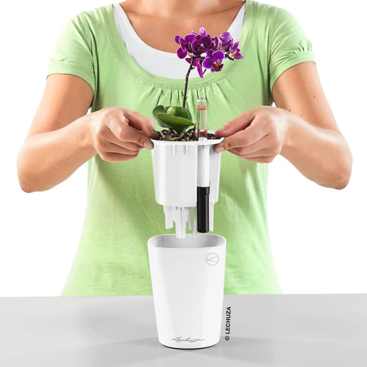 Hände halten eine Pflanze mit lila Blüte und Wasserstandsanzeige.