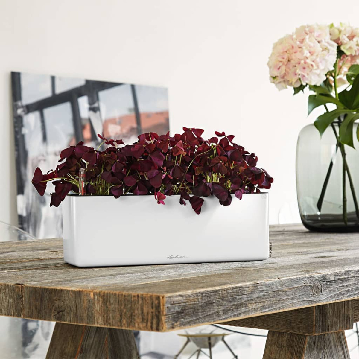 Une jardinière rectangulaire blanche remplie de plantes violettes, sur une table en bois.