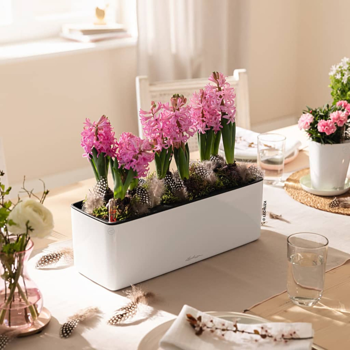 Jardinière rectangulaire blanche avec jacinthes roses, plumes et verres d'eau sur une table.