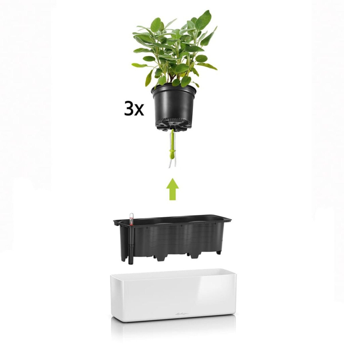 Vue éclatée d'une jardinière avec des plantes, étiquetée '3x', et une flèche.