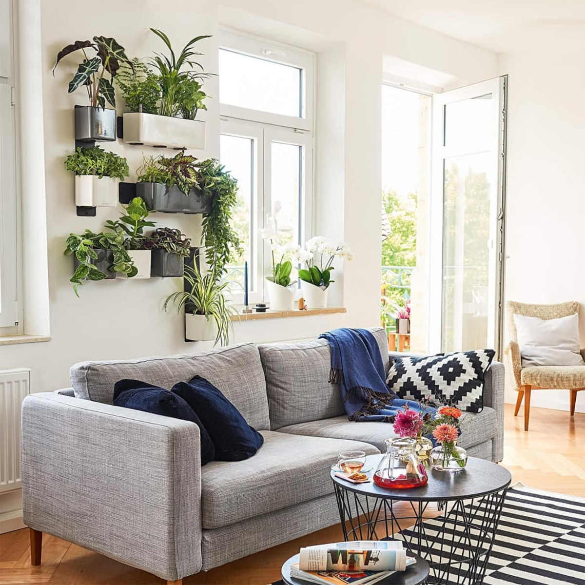 Salon avec plantes au mur et canapé gris. Comprend un tapis et une table basse.
