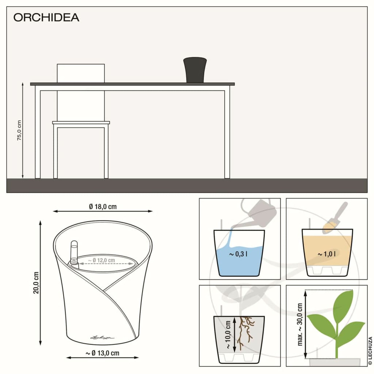 Un schéma de l'entretien des orchidées, montrant un pot, une plante et les niveaux d'eau.