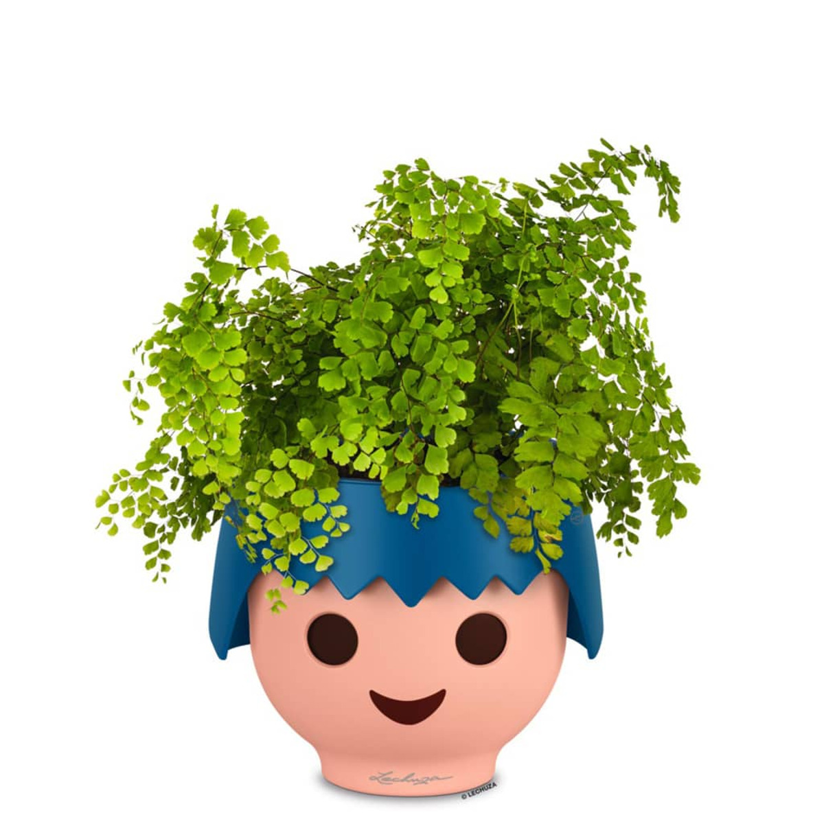 Fioriera a forma di volto con una pianta verde come capelli, su sfondo bianco.