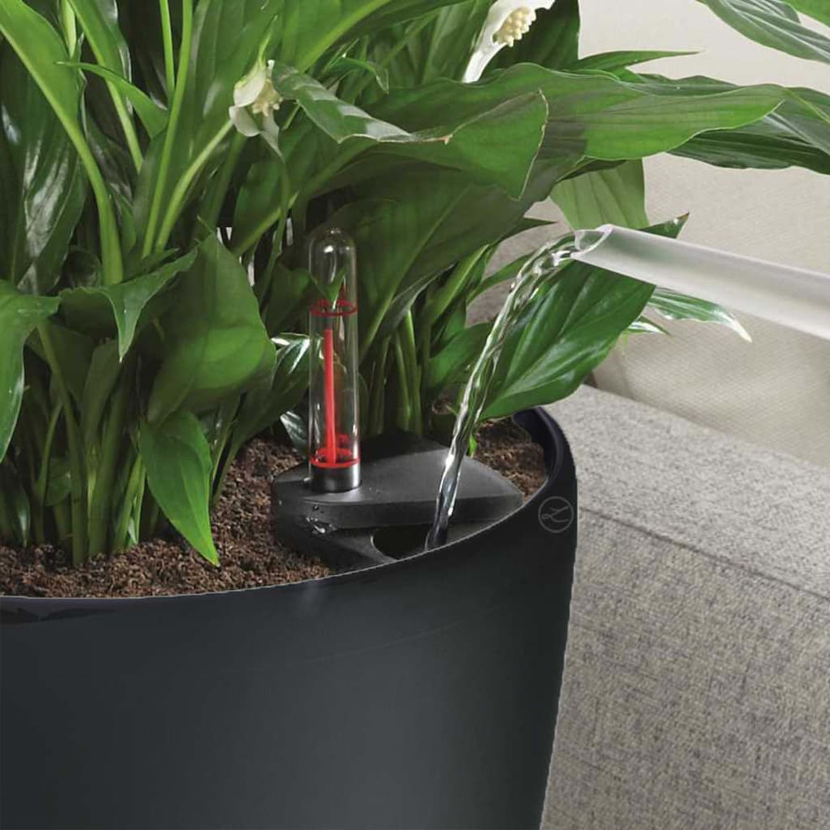 Arrosage d'une plante avec un indicateur de niveau d'eau. L'eau coule dans le pot.