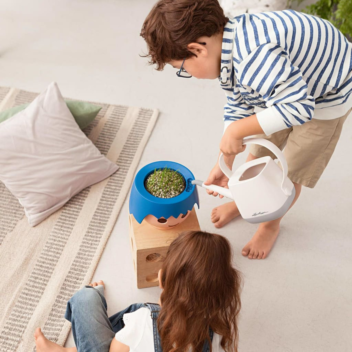 Due bambini innaffiano una piccola pianta in un vaso blu. Un tappeto e un cuscino sullo sfondo.