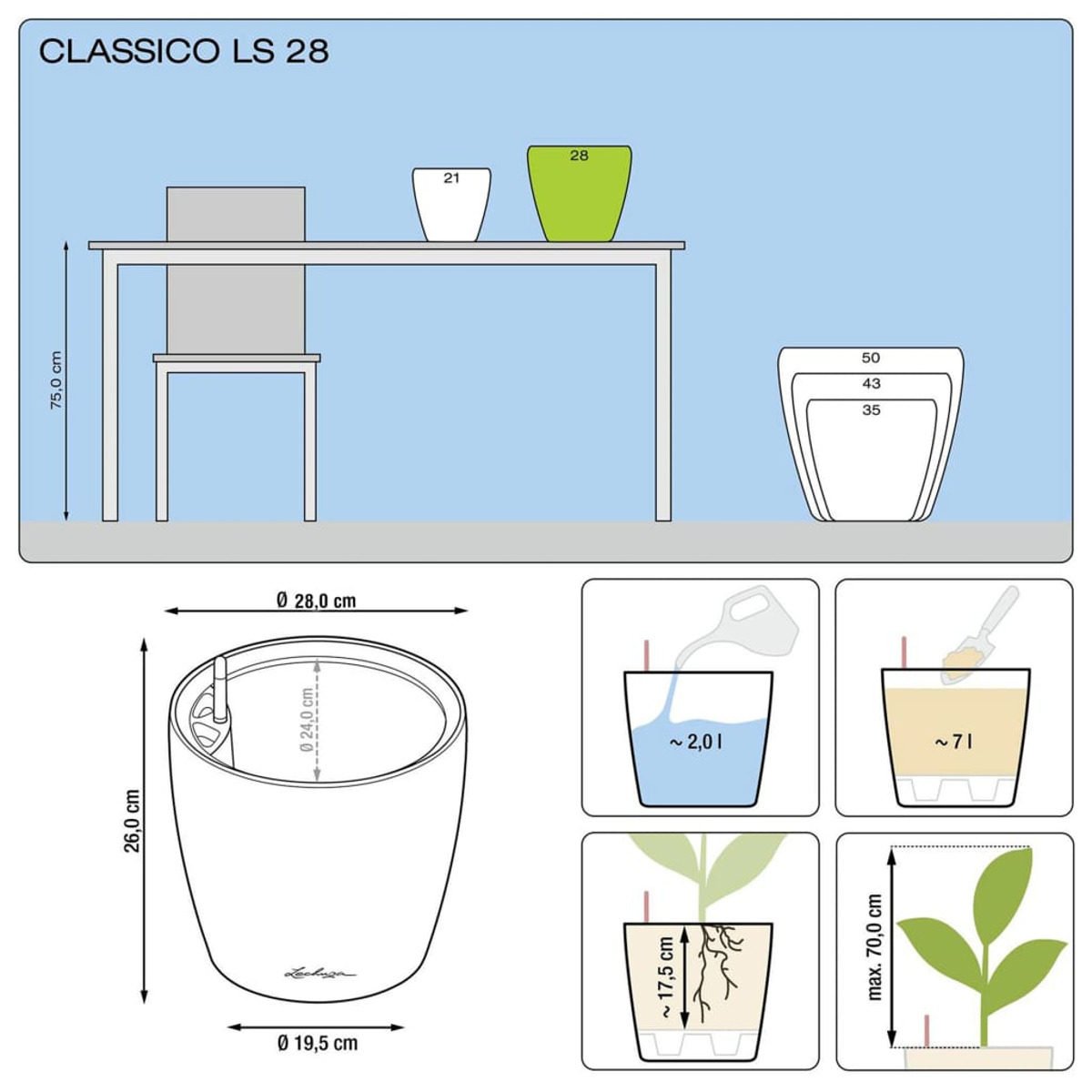 Diagramma di un vaso con istruzioni per l'irrigazione e la piantagione. Include dimensioni ed etichette.