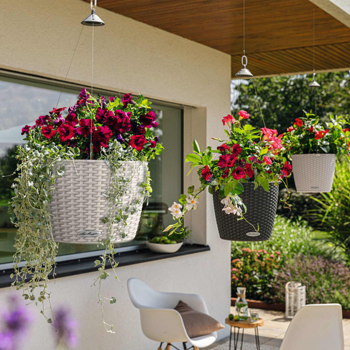 Paniers de fleurs suspendus avec des fleurs rouges et violettes sur un patio.