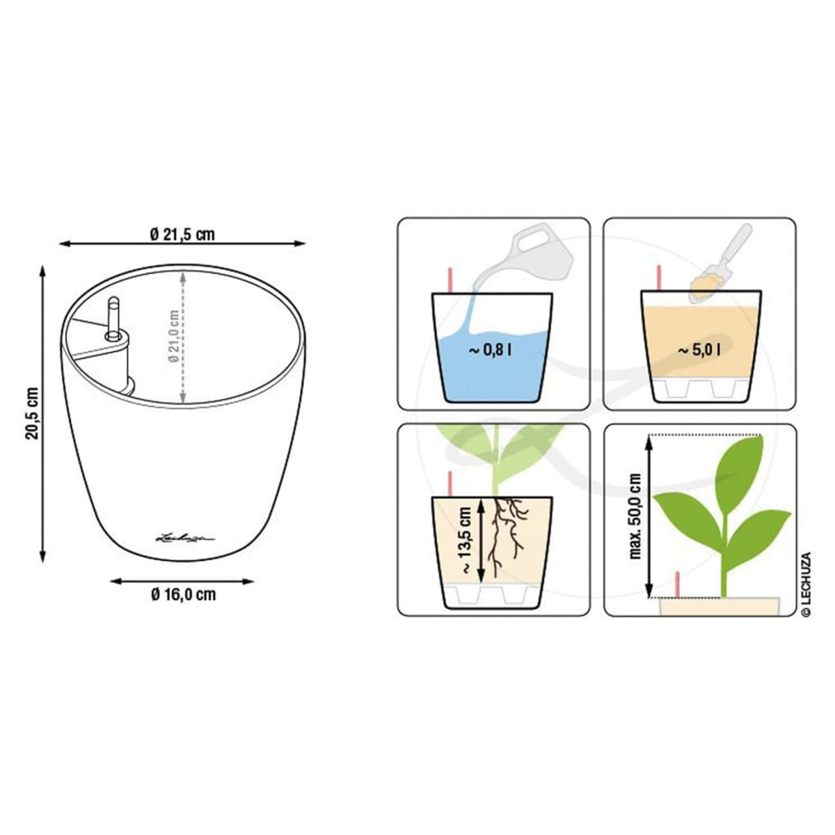 Schéma d'un pot de plante. Dimensions, capacité en eau et informations sur la hauteur de la plante. Fond blanc.