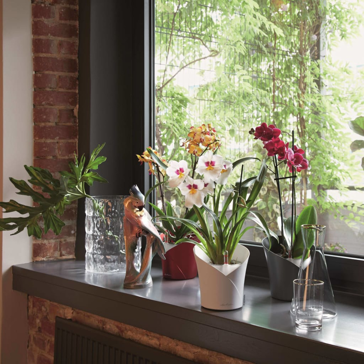 Orchidées, un oiseau décoratif et un verre, disposés sur un rebord de fenêtre avec un mur de briques.