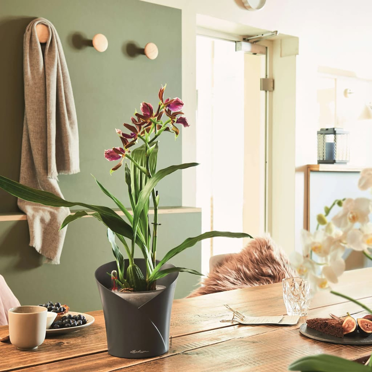 Une table avec une plante en pot noir, de la nourriture et un verre. Une écharpe et des chevilles en bois sont visibles.